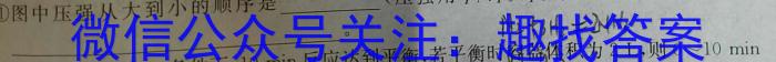 q湖南省2024届高三九校联盟第一次联考(12月)化学