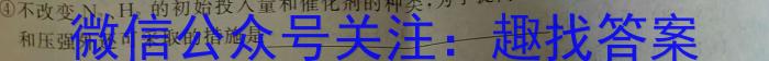 b九师联盟·2024届高三10月质量检测巩固卷(新教材-LG）化学