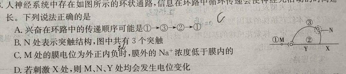 安徽省2023-2024学年第一学期高一年级期中联考生物