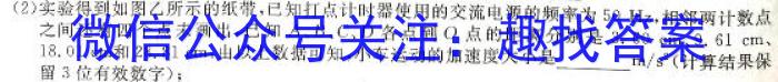 青桐鸣 河南省2024届普通高等学校招生全国统一考试 青桐鸣高三联考(10月)l物理