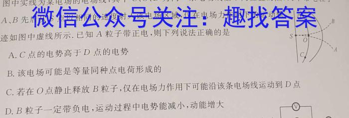 陕西省2024届高三年级第三次质量检测考试(24182C)物理`