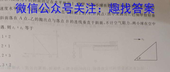 安徽省2023-2024学年第一学期七年级期中教学质量检测q物理