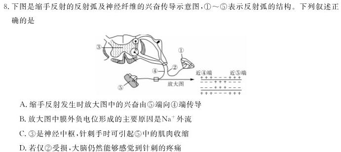 河北省2023-2024学年高三（上）质检联盟期中考试生物