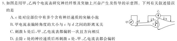 2024新高考单科综合卷(五)生物
