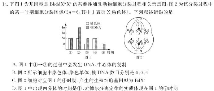 [绵阳一诊]2024届绵阳市高中2021级第一次诊断性考试生物