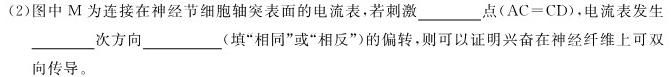 2024届广东省高三试卷10月联考(24-35C)生物