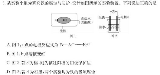 【热荐】河北省沧衡八校联盟高三年级2023~2024学年上学期期中考试(24-138C)化学