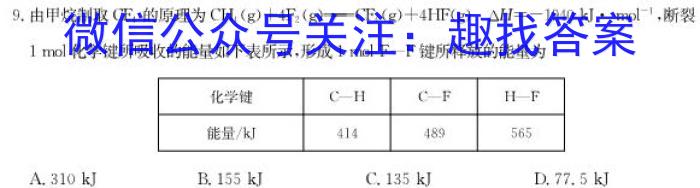 q2024新高考单科综合卷 XGK(一)化学