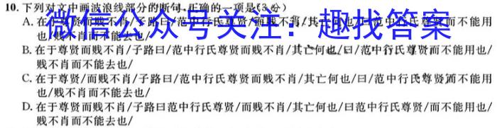 九师联盟·2024届高三10月质量检测巩固卷(XG）语文