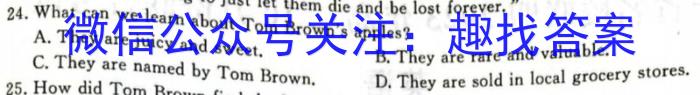 吉林省"通化优质高中联盟”2023~2024学年度高二上学期期中考试(24-103B)英语