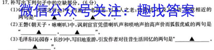 四川省2023-2024学年度高一年级11月期中考试/语文