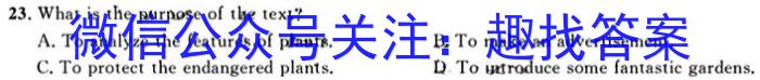 智慧上进·稳派大联考江西省2024届高三11月一轮总复习调研测试英语