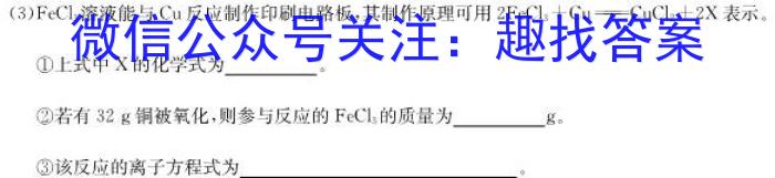 q江西省2023年南昌县九年级第一次评估检测(24-10-CZ45c)化学