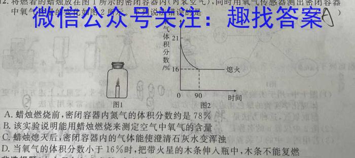 【精品】2024届名校大联盟 高三月考卷(二)化学