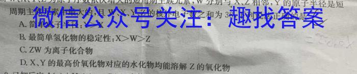 f九师联盟·2024届高三10月质量检测巩固卷(XG）化学