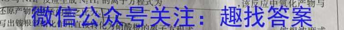 q河北省2023-2024学年第一学期九年级第二次质量评估化学