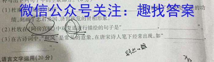 学科网2024届高三11月大联考(全国乙卷)语文