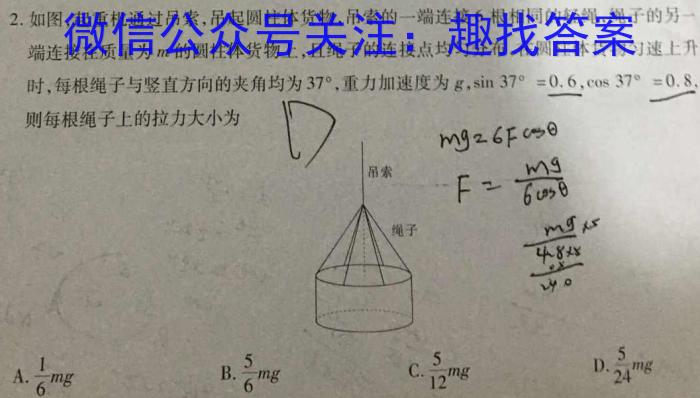 2024年普通高等学校全国统一模拟招生考试新未来高三11月联考l物理