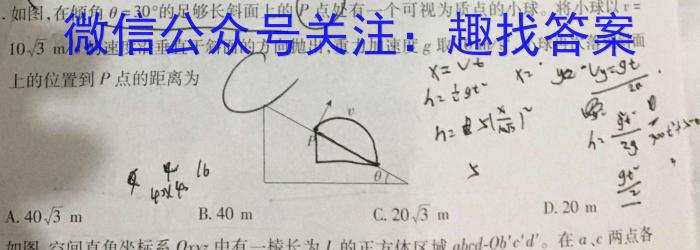 陕西省汉中市2024届高三联考（10月）f物理