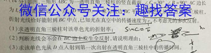 ［青桐鸣大联考］河南省2023-2024学年高二年级学业质量监测考试l物理