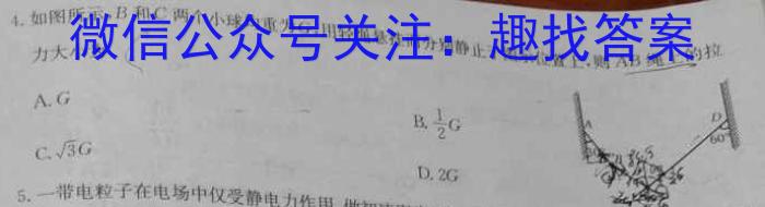 安徽省2023-2024学年度上学期九年级第二次教学质量检测物理`