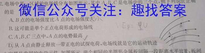 齐市普高联谊校2023-2024学年高二上学期期中考试(24013B)物理`