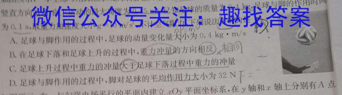 2023年河北省名校强基联盟高一期中联考（11月）物理`