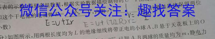 河北省2023-2024学年第一学期高二年级期中考试(242181Z)f物理