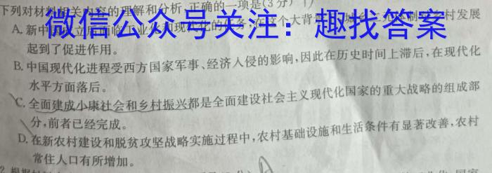 安徽省2023-2024学年度第一学期九年级期中素质教育评估试卷/语文