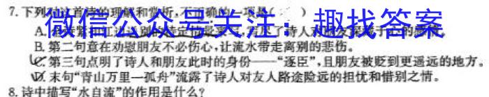 陕西省2024届高三教学质量检测(24186C)语文