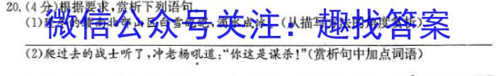 河南省2023~2024学年度九年级综合素养评估R-PGZX C HEN(二)2语文