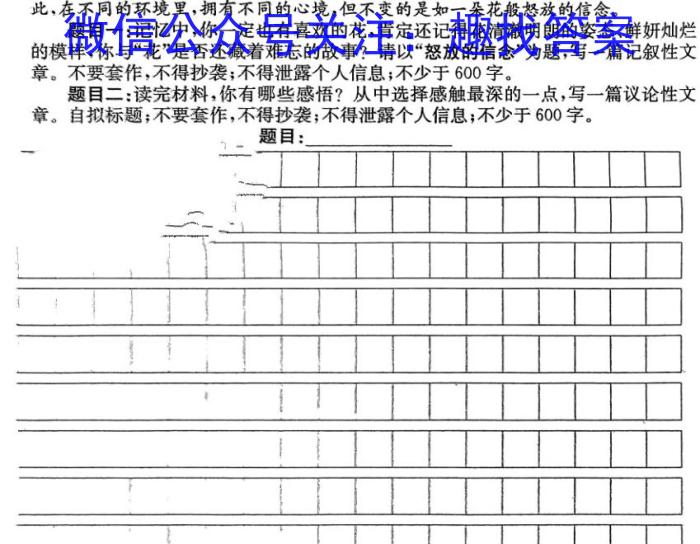 河南省2023-2024学年度高三一轮复习阶段性检测（四）/语文