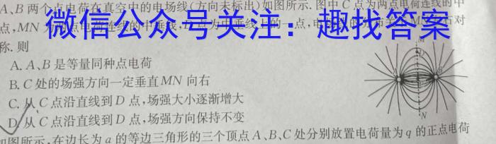 稳派大联考2023-2024学年高二期中考试11月联考物理`