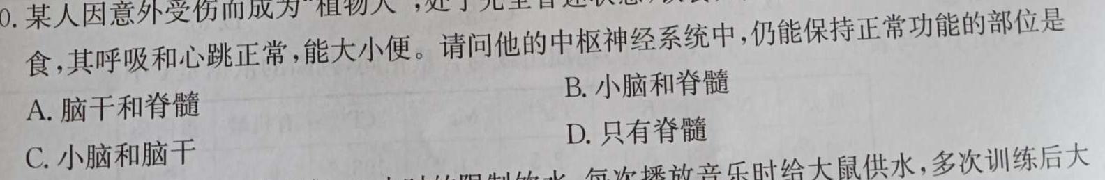 ［江西大联考］江西省2025届高二年级上学期11月联考生物