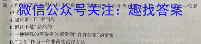 云南省2025届高二11月联考（期中考试）语文