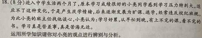 2024届普通高校招生全国统一考试仿真模拟·全国卷 BBY-F(五)5思想政治部分