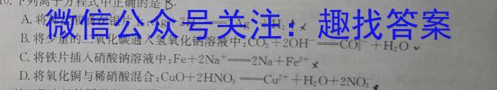 3九师联盟2023-2024学年高三10月质量检测(湖北卷)化学
