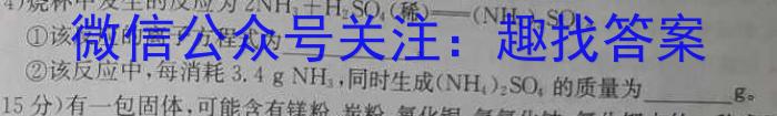 q陕西省2023-2023学年度第一学期九年级期中检测（C）化学