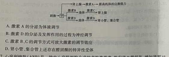 河北省思博2024届九年级第一学期第一次学情评估（B卷）生物