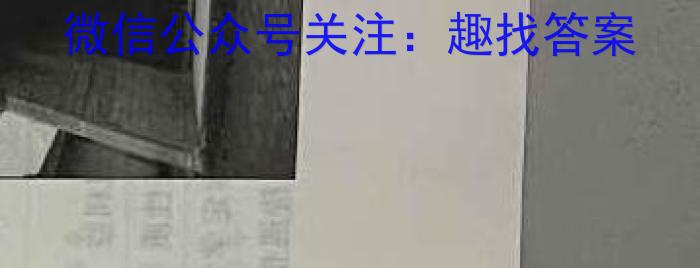 2023-2024学年安徽省八年级教学质量检测（三）历史