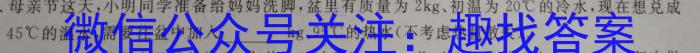 云南师大附中(云南卷)2024届高考适应性月考卷(黑白黑白白黑白黑)物理`