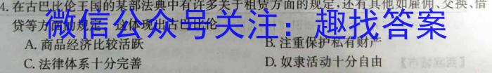 安徽省合肥市某校2023-2024学年九年级阶段检测历史