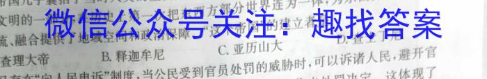 2023年11月绍兴市高三选考科目诊断性考试历史