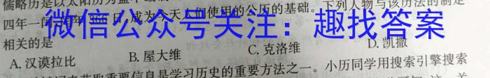 安徽省2023~2024学年度届九年级阶段诊断 R-PGZX F-AH(二)2历史试卷