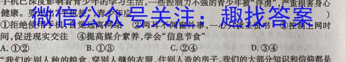 2024年全国高考仿真模拟卷(一)政治~
