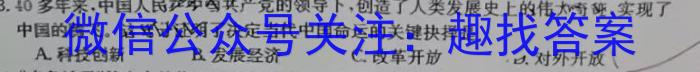 安徽省2023-2024学年九年级期末考试（第四次）政治~
