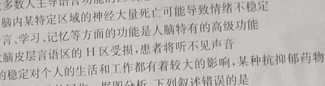 石室金匮 成都石室中学2023-2024学年度上期高2024届11月半期考试生物