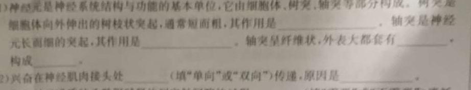 天一大联考2023-2024学年高中毕业班阶段性测试（二）生物