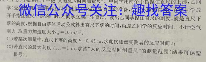 江西省2024届高三10月联考（10.30）f物理