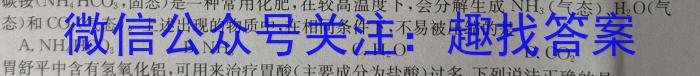 3江西省2023-2024学年度八年级上学期期中综合评估【2LR】化学